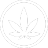 Cannabis Infused