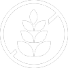 Gluten-Free