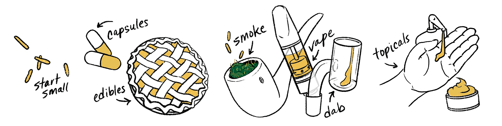 FECOuses-horizontal_illustration FECOuses-horizontal_illustration