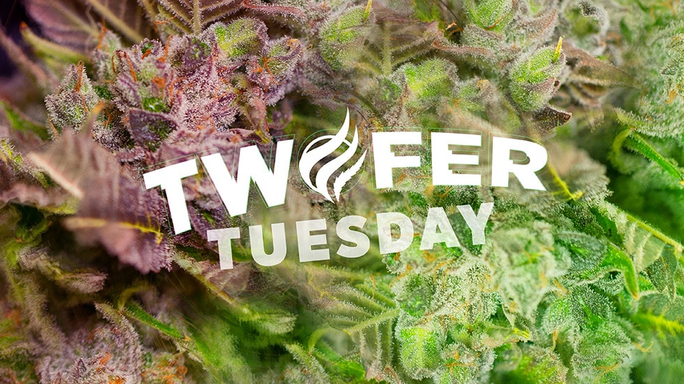 GNC-TwoferTuesday_Flower_web GNC-TwoferTuesday_Flower_web