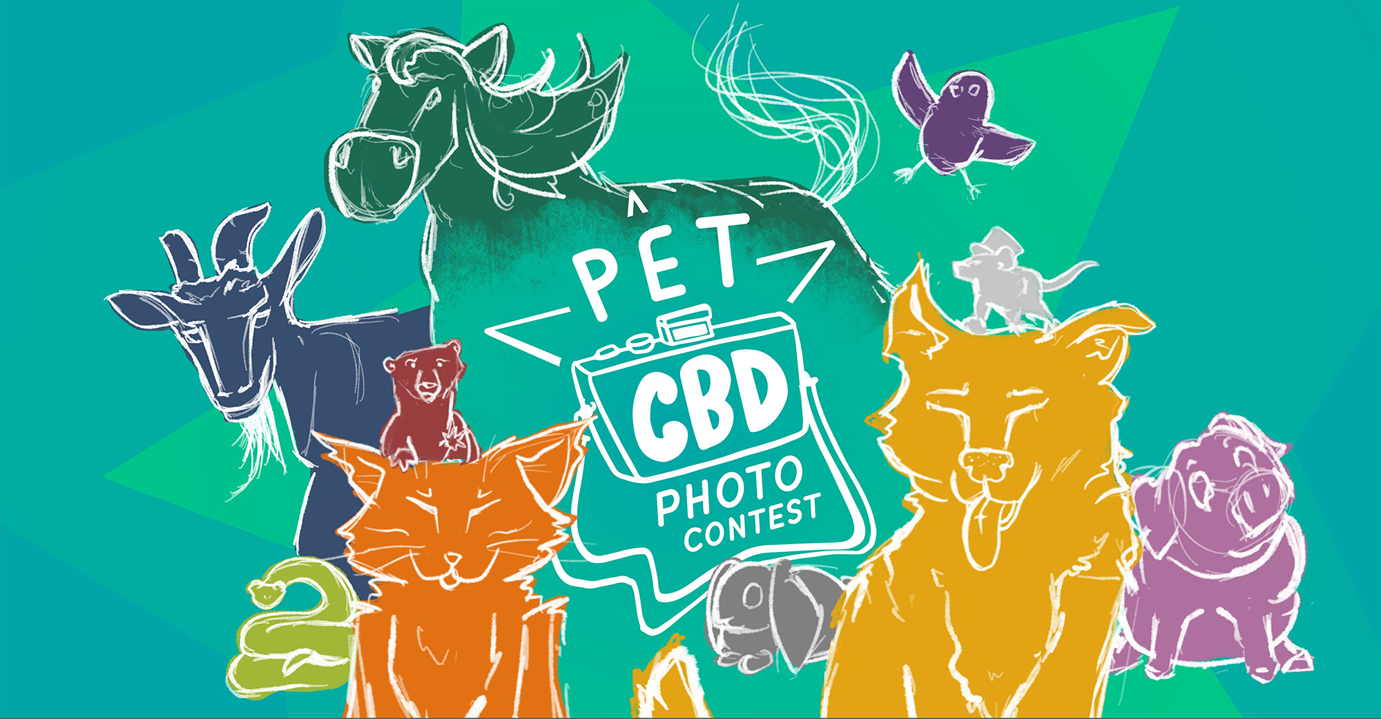 2021-PetCBD_PhotoContest-Entries_web-header 2021-PetCBD_PhotoContest-Entries_web-header
