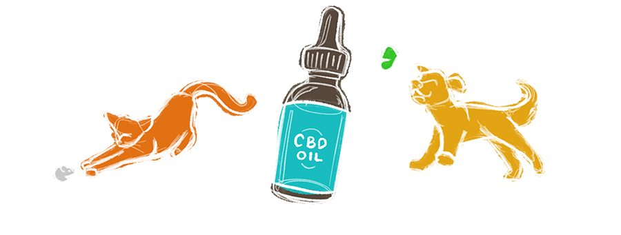 PetCBD_PhotoContest-divider PetCBD_PhotoContest-divider