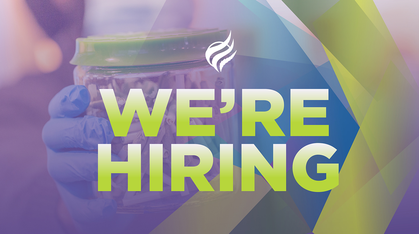Web_Hiring Web_Hiring