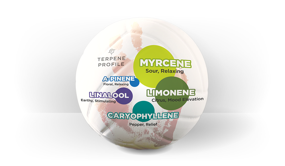 2022_KingWilson-StrainDrop_web-terpenes 2022_KingWilson-StrainDrop_web-terpenes