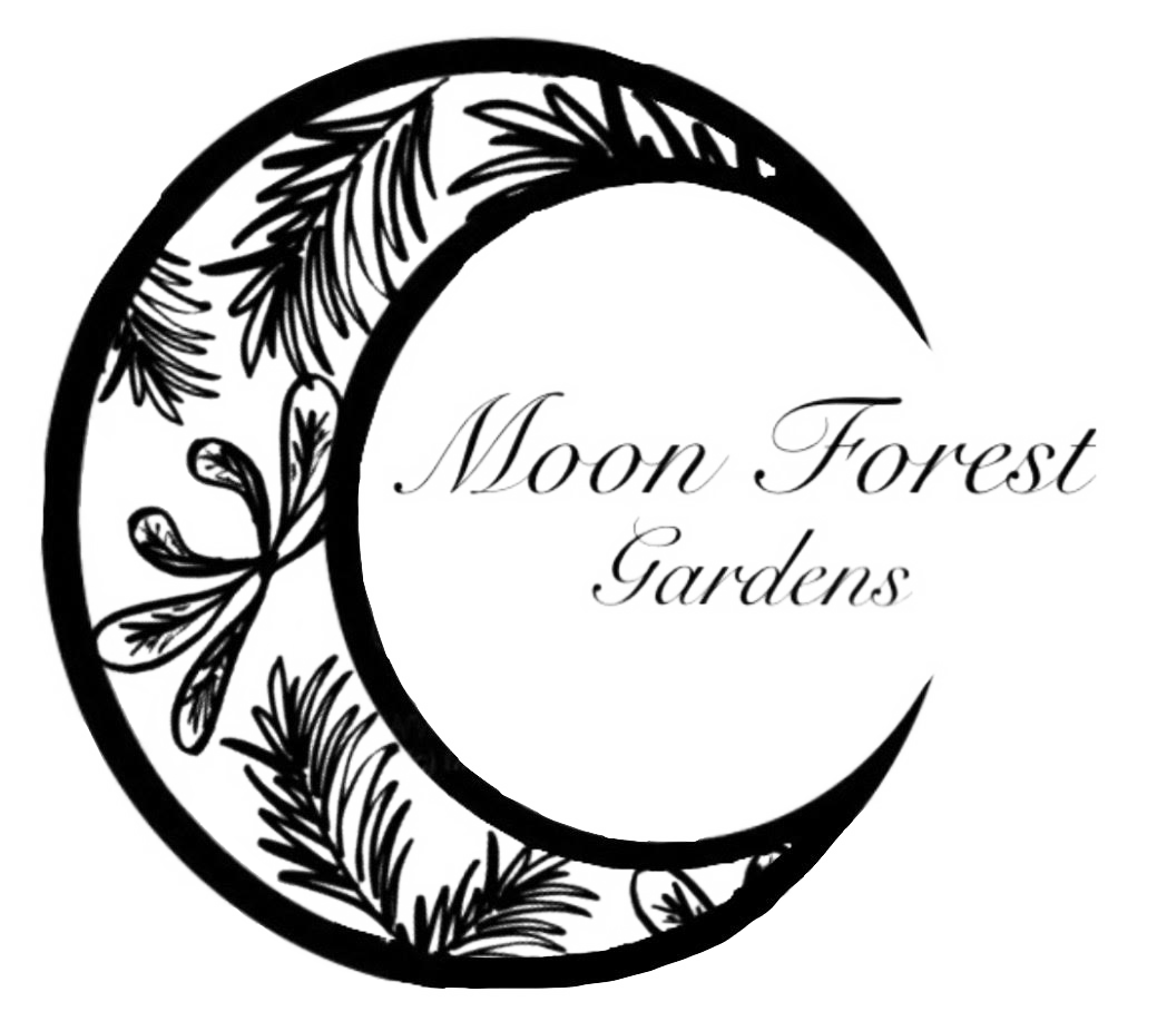 MoonForestGardens_logo MoonForestGardens_logo