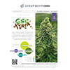 GSC XTRM Strain Infographic Printout