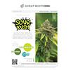 Sour Kush Strain Infographic Printout