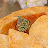 Georgia Pie Nug Photo