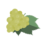 Graphic_icons-flavors&terps_WhiteGrape-web