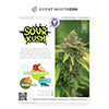 Sour Kush Strain Infographic Printout