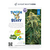 Tundra Berry Strain Infographic Printout